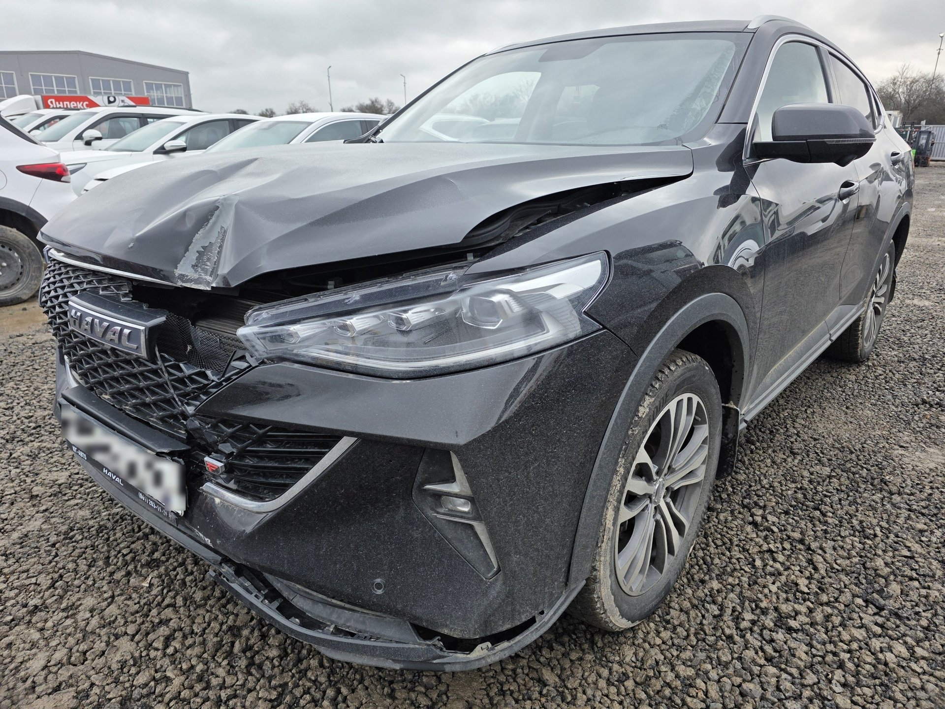HAVAL F7x — Краснодар