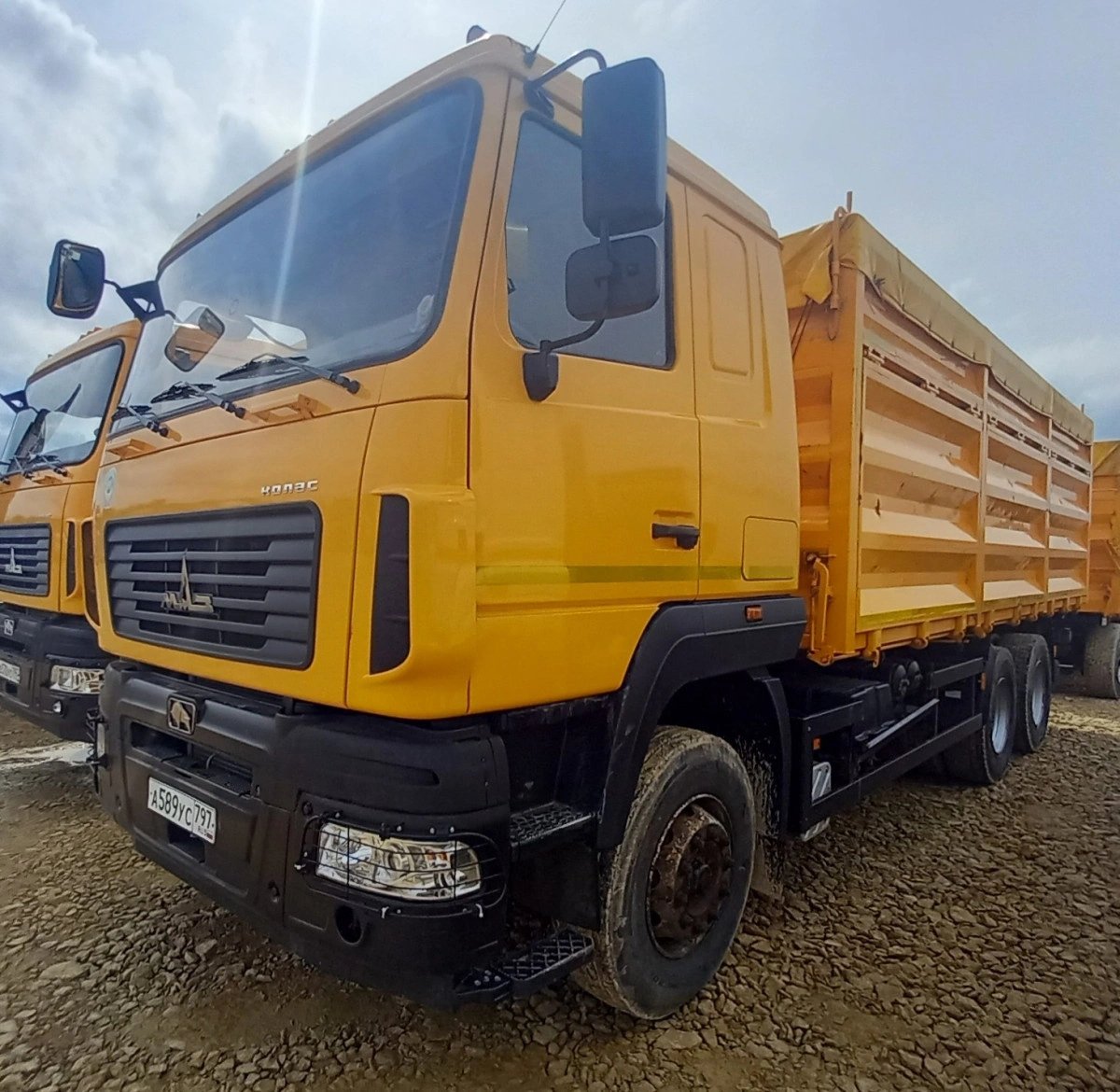 МАЗ 6501C9 — Воронежская обл