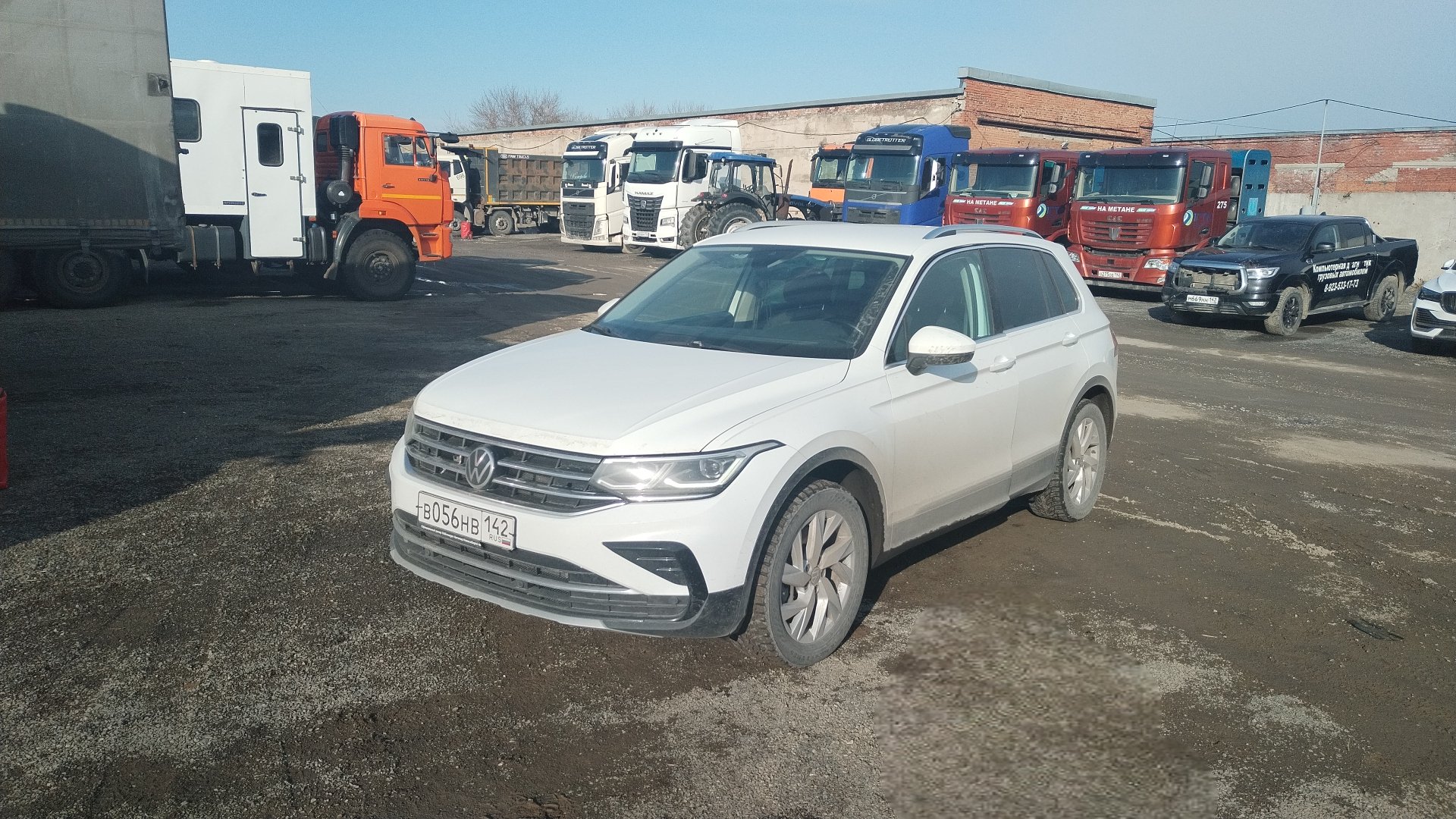 Volkswagen Tiguan — Кемерово