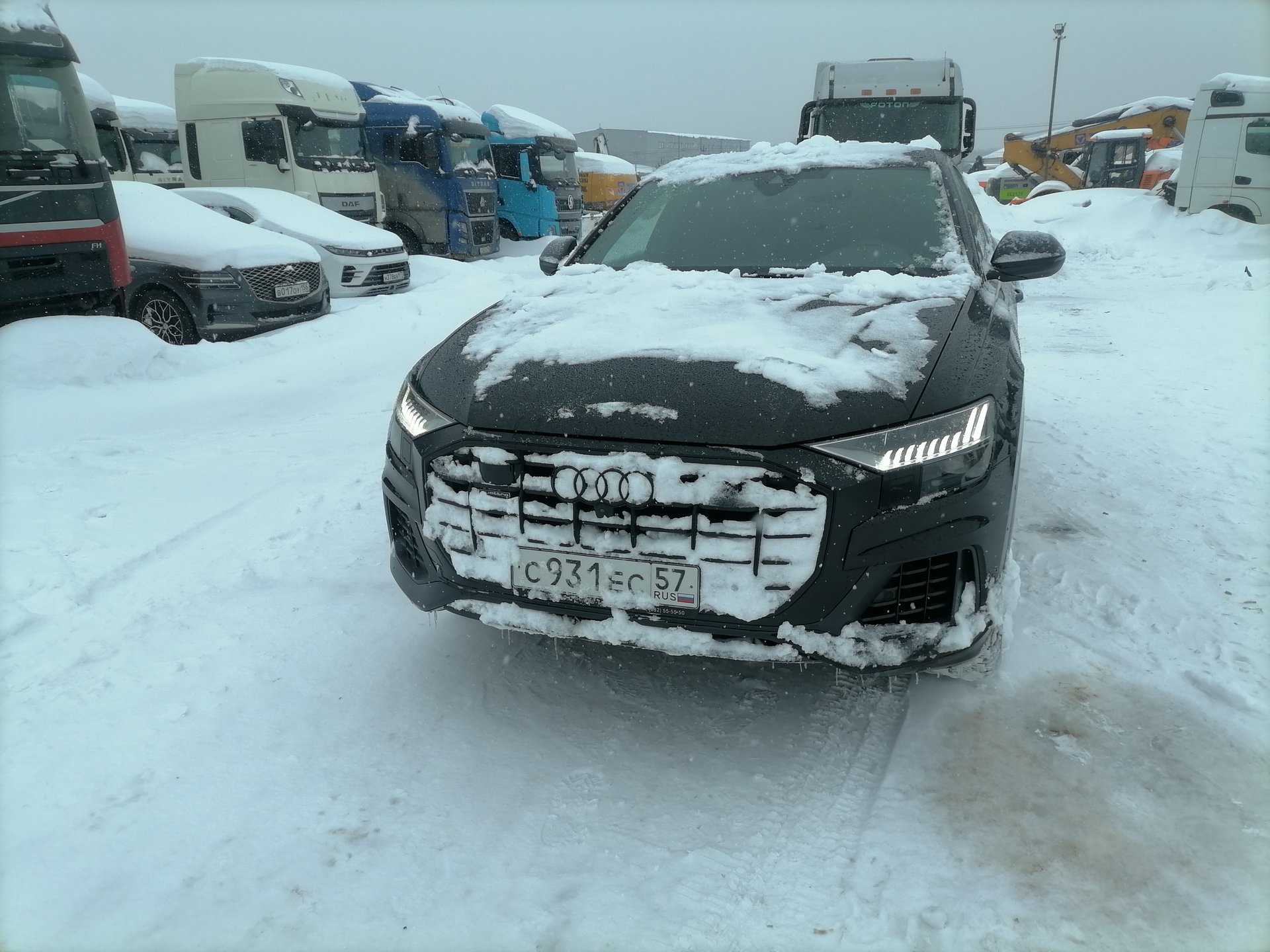 Audi Q8 — Москва