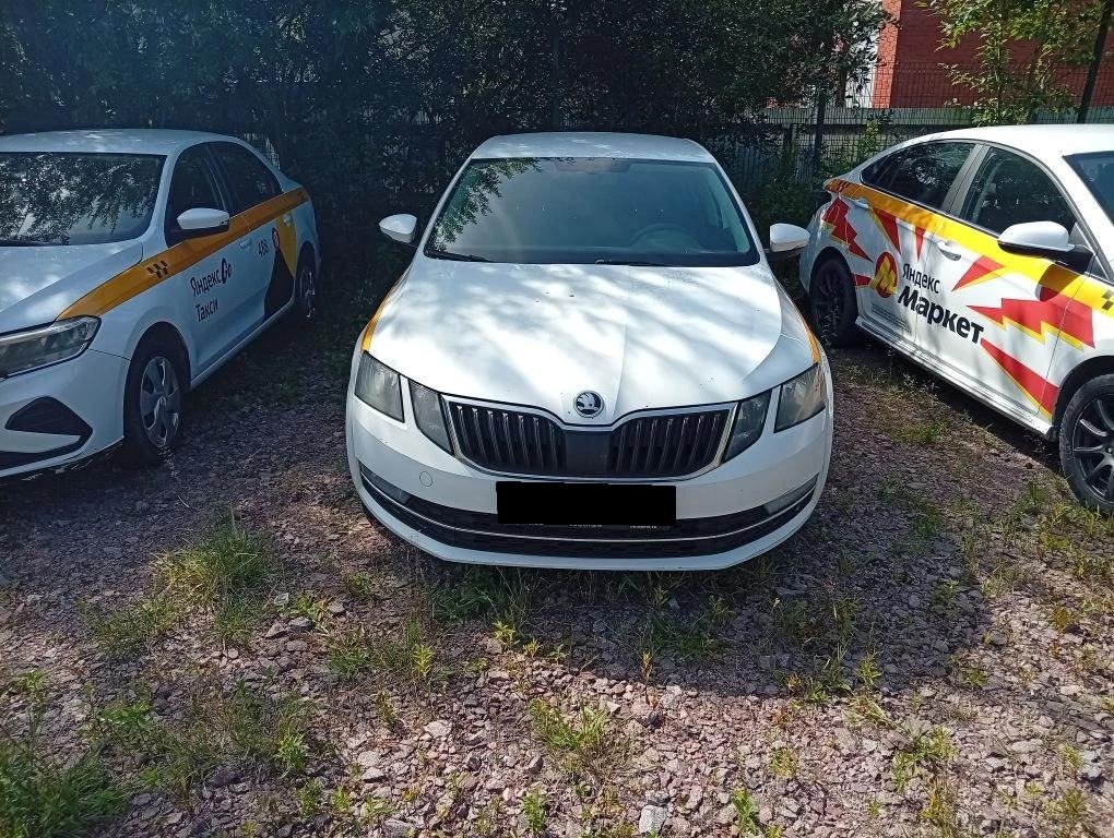 Skoda Octavia — Санкт-Петербург