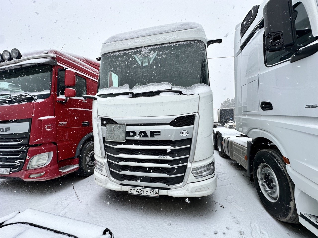 DAF XG 480 FT — Полевской