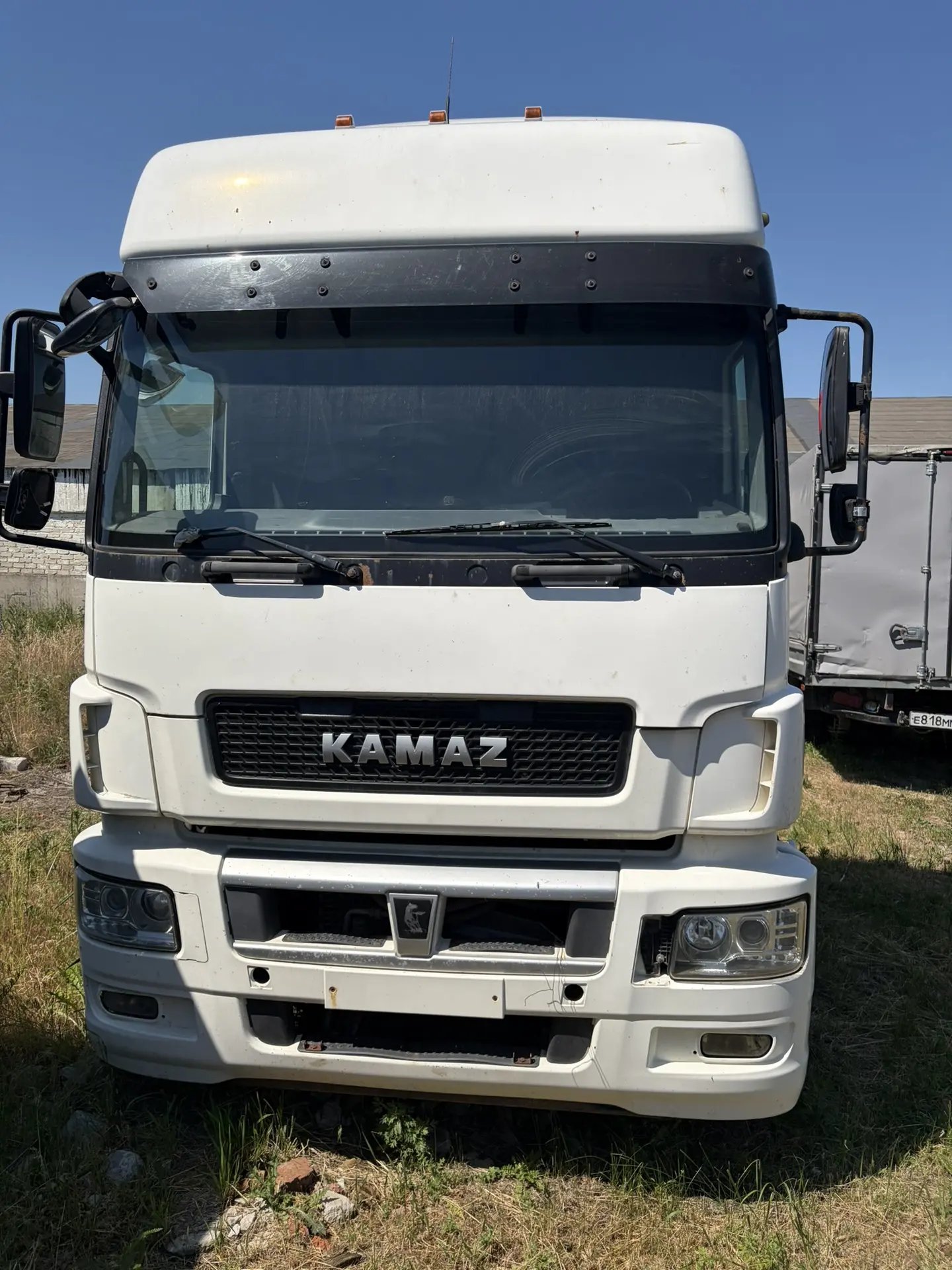 КамАЗ 5490 4x2 Седельный тягач — Богданово