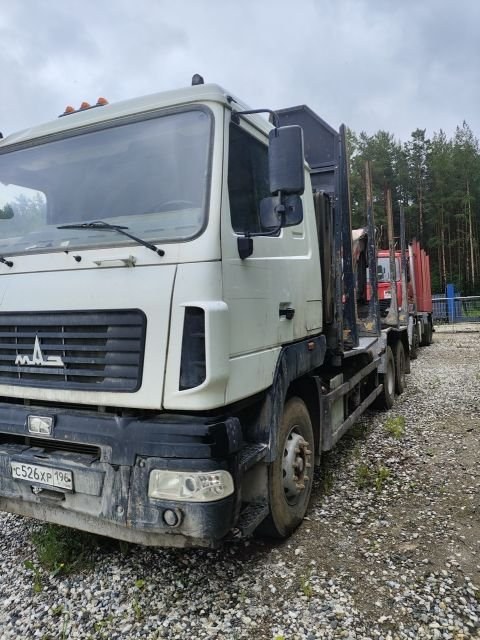 Грузовик специальный, сортиментовоз с КМУ 61С505 — Березовский