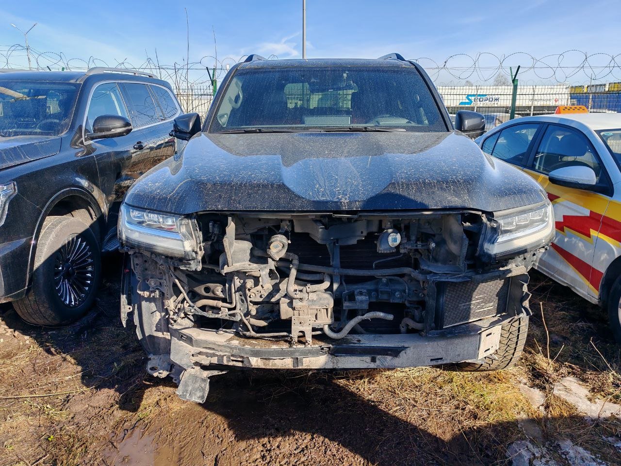 Toyota LAND CRUISER 300 — Санкт-Петербург