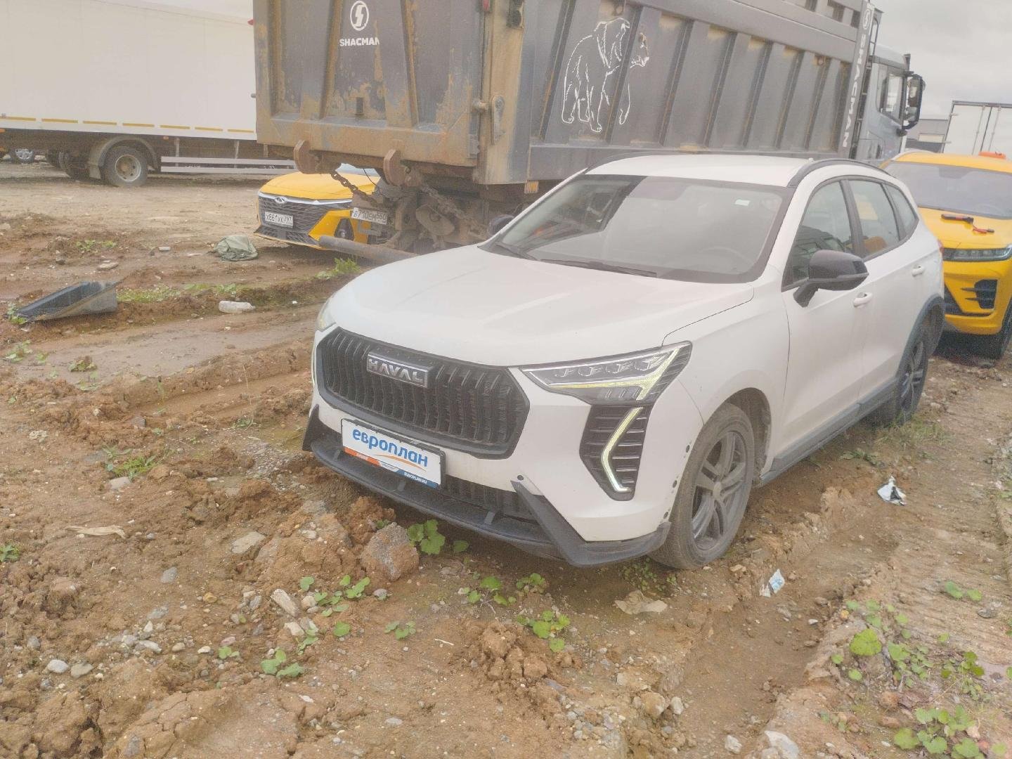 Haval Jolion — Солнечногорск