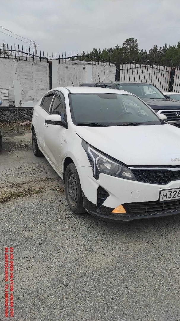 Kia Rio — Сургут